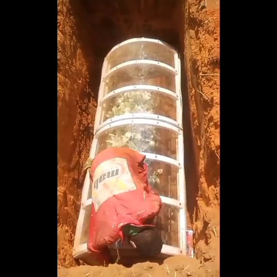 www.fred-vault.co.za